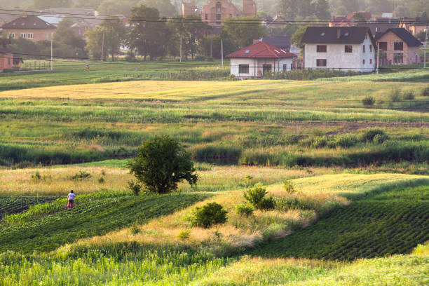 Wide summer panorama of new quiet residential suburban area. Lit by bright sun planted fields and new brick and plastered houses among green trees. Construction, investment and agriculture concept. Wide summer panorama of new quiet residential suburban area. Lit by bright sun planted fields and new brick and plastered houses among green trees. Construction, investment and agriculture concept. ukrainian village stock pictures, royalty-free photos & images