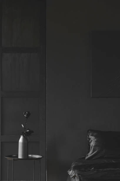istock Black rose in dark bedroom 1004564396