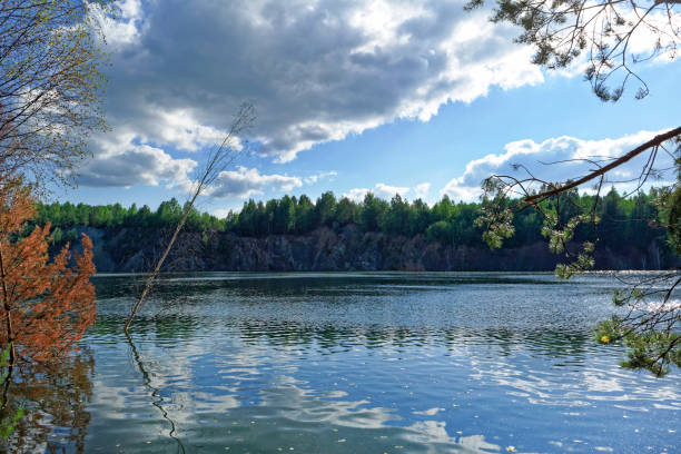 istock Summer landscape by the forest lake 1004566798