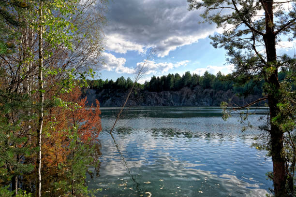 Summer landscape by the forest lake Blue water in a forest lake