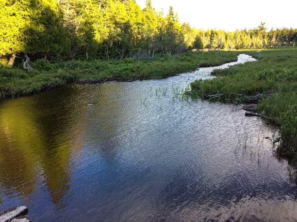 Brook connectd to Jordan Pond