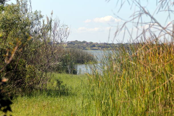 istock View of Lake Corpus Christi 1004607932