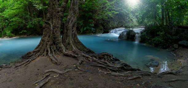 panoramic beautiful deep forest waterfall in thailand. - awe beauty in nature waterfall cool imagens e fotografias de stock