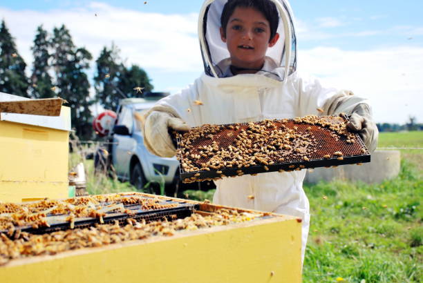 istock Child in a Bee Suit holds out Honey Frame 1004634680