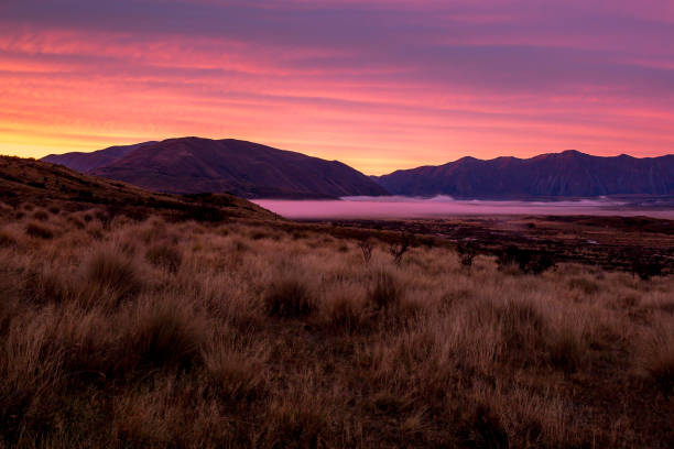 High country stunning sunrise color Nz South Island high country scenery high country stock pictures, royalty-free photos & images
