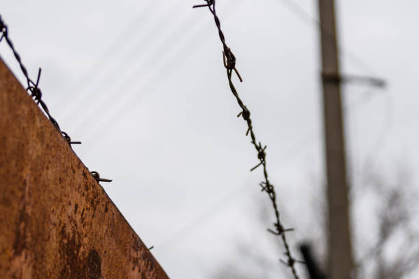 istock Barbed wire against the sky on cloudy day 1004651350