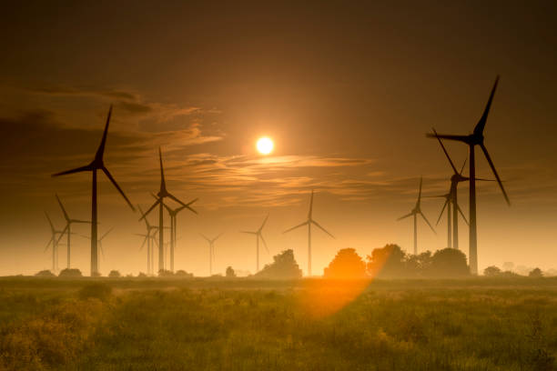 Taken in Holtgast, Esens, Wittmund - District, East Frisia, Lower Saxony, Germany, Europe