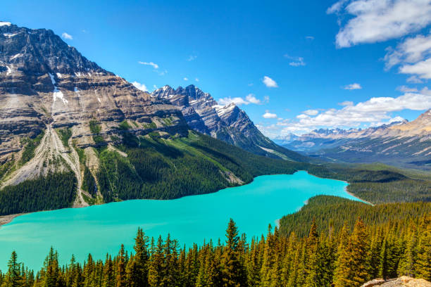 istock Peyto Lake in Banff National Park on Icefields Parkway 1004657128