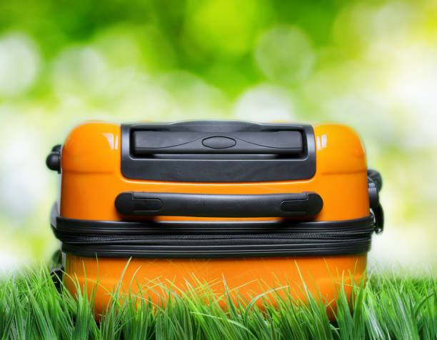 istock Orange suitcase in green grass on natural background 1004669650