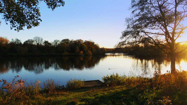 istock mystical fantasy lake river forest - psychedelic filtered image 1004678430