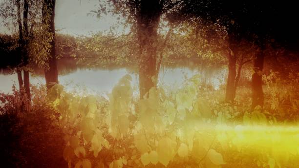 istock mystical fantasy lake river forest - psychedelic filtered image 1004678478