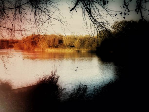 istock mystical fantasy lake river forest - psychedelic filtered image 1004678576