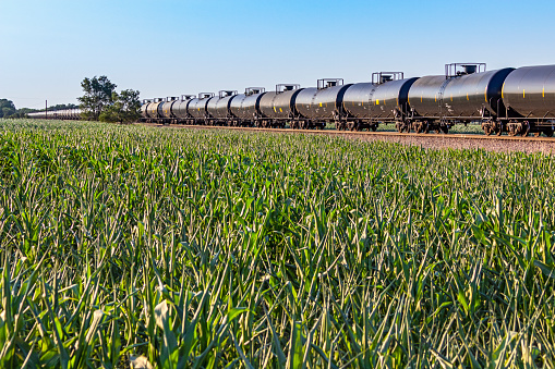 Long tank train with lush green corn field in foreground: diminishing perspective