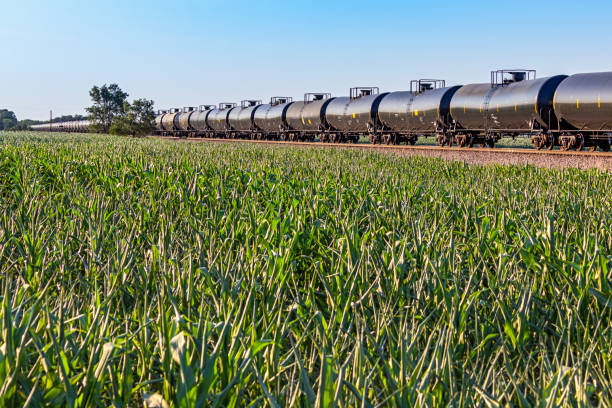 long tank train with lush green corn field in foreground: diminishing perspective - transportation railroad track train railroad car imagens e fotografias de stock