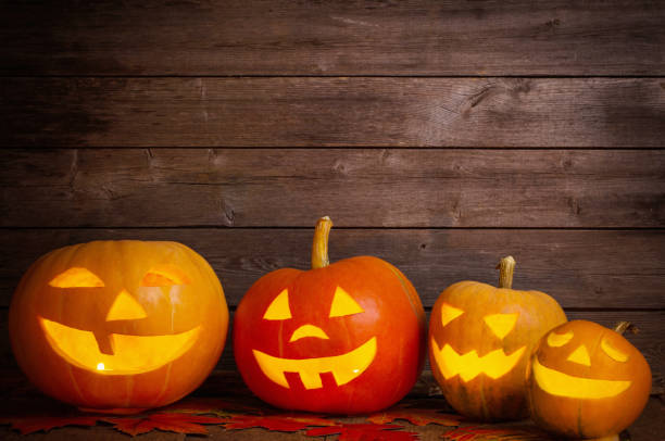 istock pumpkins on wooden background with copy space 1004681220