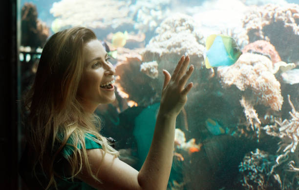 istock woman touching aquarium 1004681864