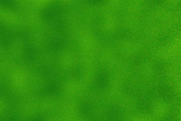 istock Texture of flannel or green grass turf, abstract background 1004695010