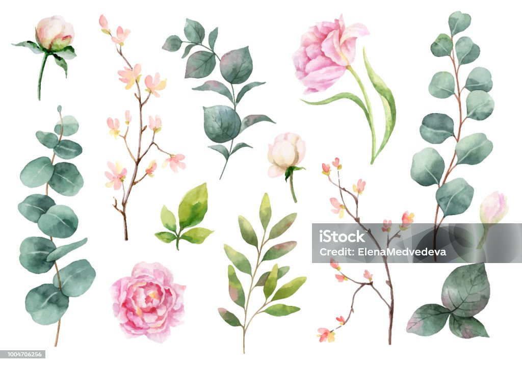 Watercolor vector hand painting set of peony flowers and green leaves. Watercolor vector hand painting set of peony flowers and green leaves. Spring or summer flowers for invitation, wedding or greeting cards. Flower stock vector