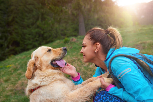 istock happy pet in nature with her owner 1004712492