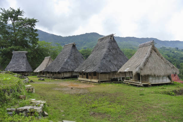 istock Traditional village, Indonesia 1004715442