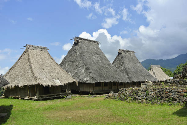 istock Traditional village,  Indonesia 1004715462
