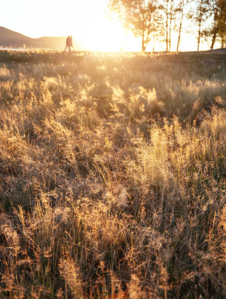 istock People Walking in the dusk at a grassland 1004717996