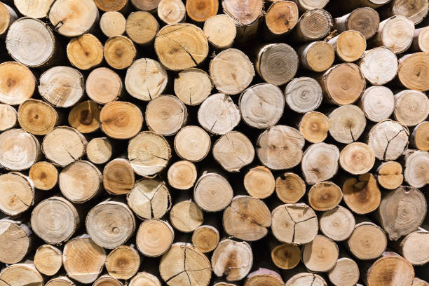 istock Pile wood timber construction material for background and texture. 1004718344