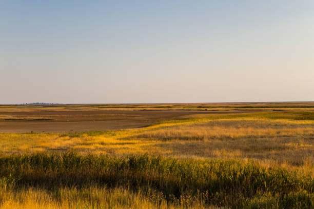 istock View on the Sivash lake, Ukraine 1004722084