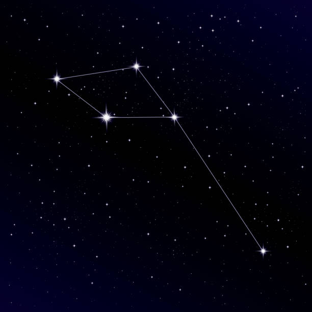 Delphinus constellation. Alpha, Beta, Gamma Delphini Delphinus constellation. Vector Illustration. Alpha, Beta, Gamma Delphini constellation delphinus stock illustrations