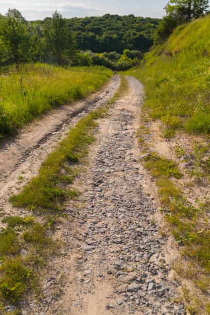 istock dirt road leading to a dense forest 1004740368