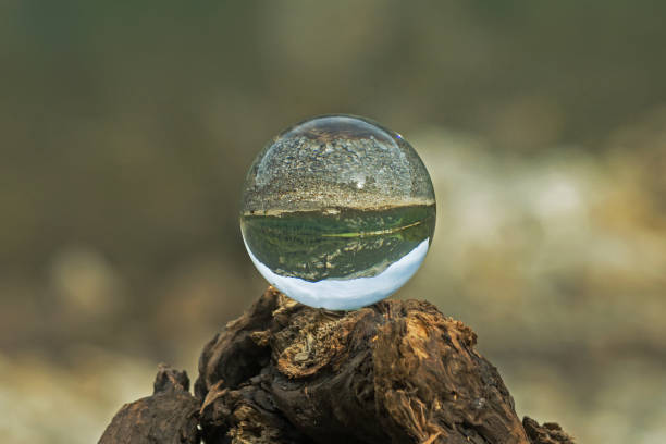 istock Crystal ball in the green 1004740986