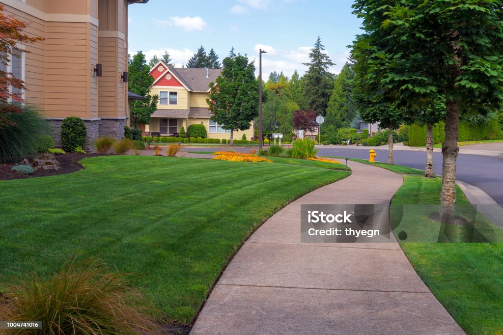 House frontyard and parking strip freshly mowed green grass lawn in North American suburban neighborhood House frontyard and parking strip freshly mowed green grass lawn in North American suburban residential neighborhood Yard - Grounds Stock Photo