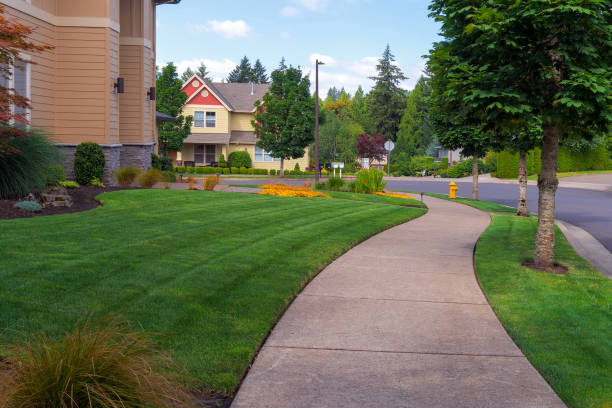 House frontyard and parking strip freshly mowed green grass lawn in North American suburban neighborhood stock photo