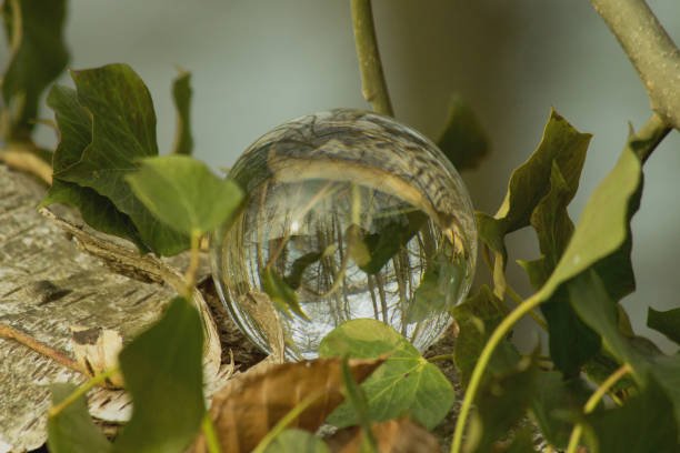 istock Crystal ball in the green 1004741100