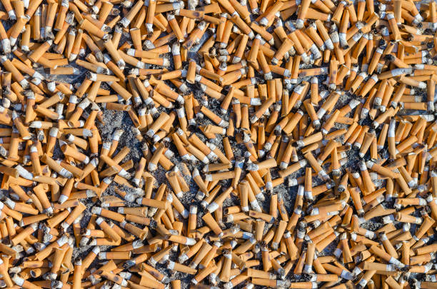 gros plan, fond de cigarette butts - mégot de cigarette photos et images de collection