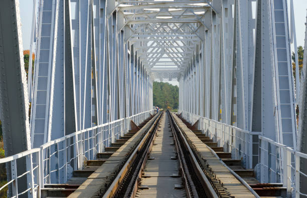 istock Rails of railroad tracks, stretching into perspective 1004753122