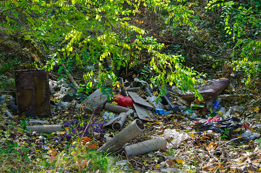 A dump in forest. Ecology, pollution of environment