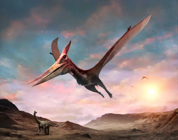 Flying Pteranodon scene 3D illustration