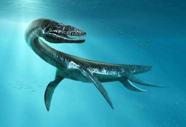 Plesiosaurus scene 3D illustration stock photo