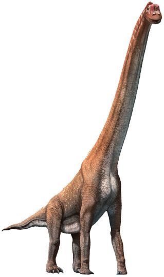 Giraffatitan from the Jurassic era 3D illustration
