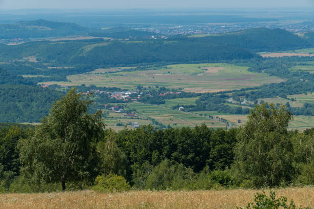 istock A panorama of green hills and valleys with wide openings on them 1004755298