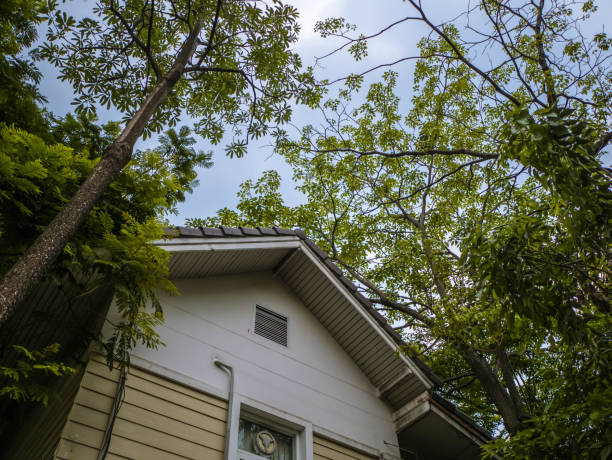 Wooden House in the Forest,Beautiful Sky and nature,House Tree and Blue sky