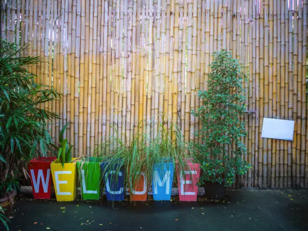 Photo of Welcome sign and bamboo wall in the park