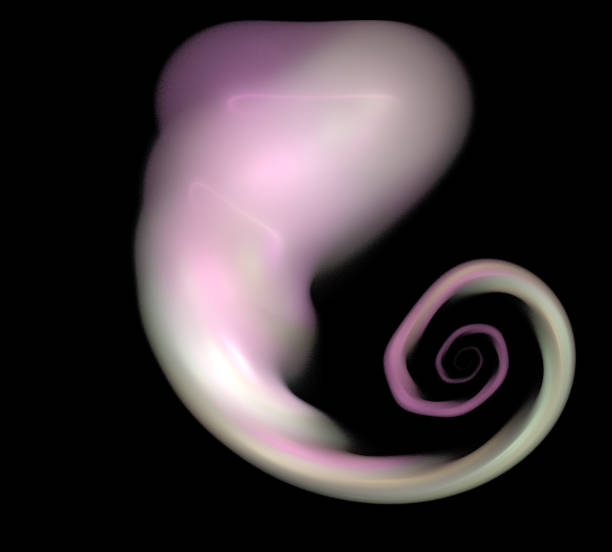 istock image of one Digital Fractal on Black Color 1004774942