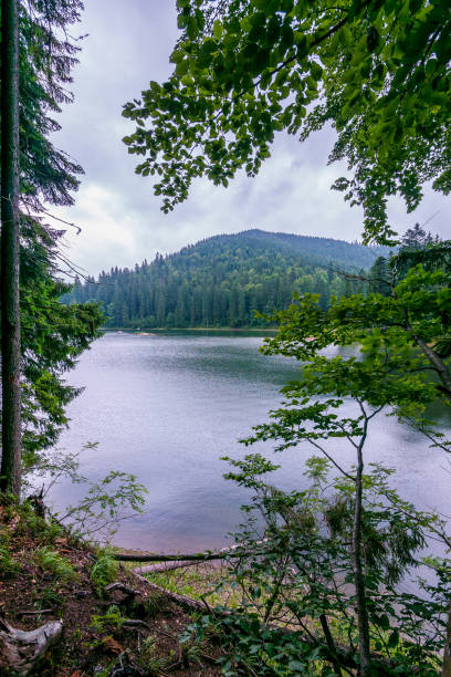 istock A beautiful, cold mountain lake with a mountain in the background 1004775804