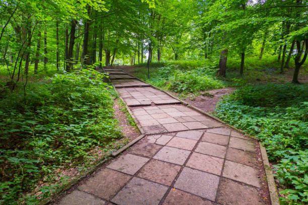 istock A path in a park lined with square tiles running amidst green grass and bushes with rarely growing trees. A good place for walking and seclusion 1004778934