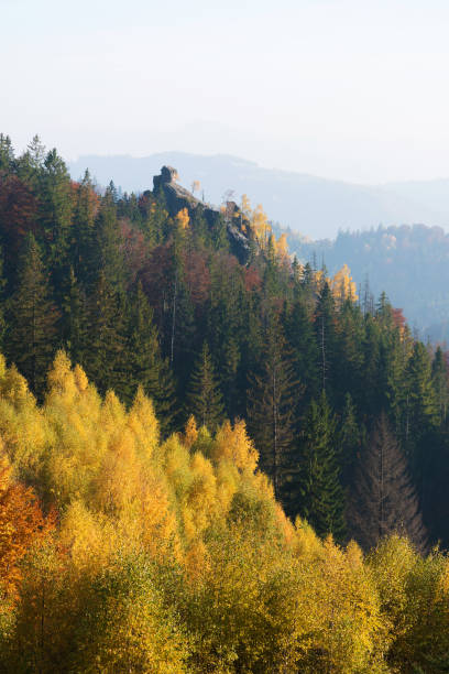 istock Autumn landscape with a rock in the forest 1004781710