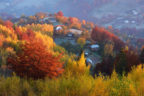 istock Autumn landscape with a beautiful forest on the slopes 1004781768