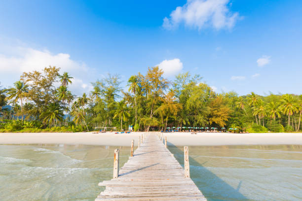 istock Wooden bridge pier into the beautiful beach background. 1004782380