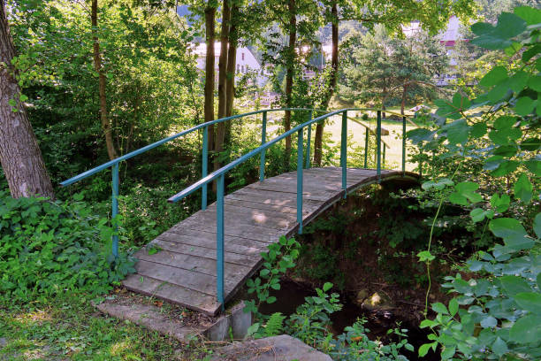 istock A small wooden bridge over the forest source with clean, cool water 1004782568